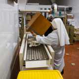 A essere consegnate per� sono solo le ostie venute meglio. Un altro strumento infatti, tramite un movimento sussultorio...